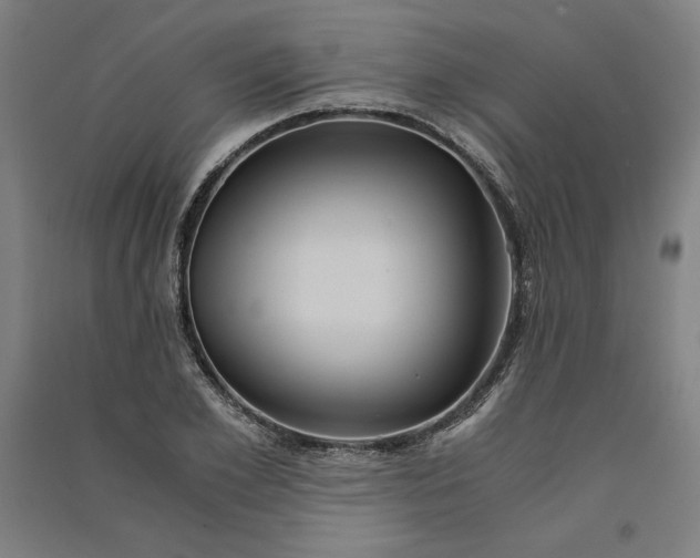 X0000091100981200708201516