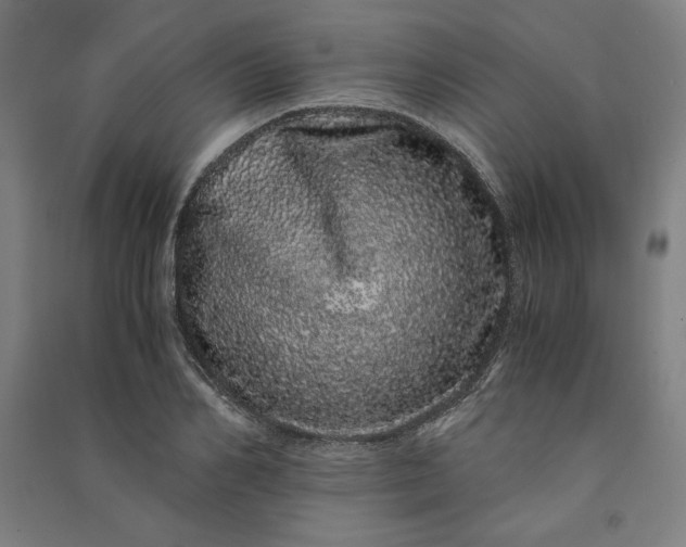 X0000091100982200708201516