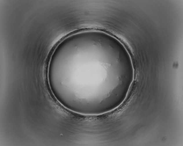 X0000091100983200708201516