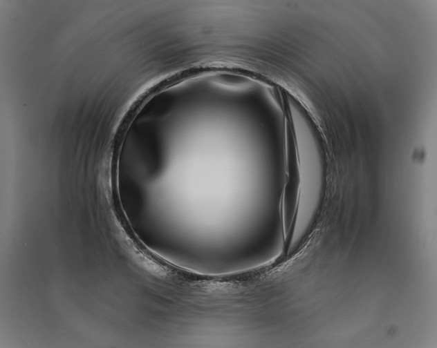 X0000091100984200708201516