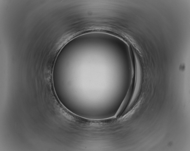 X0000091100985200708201516