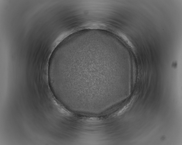 X0000091100986200708201516