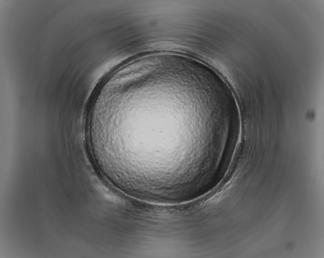 X0000091100987200708201516