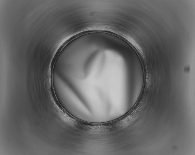 X0000091100988200708201516