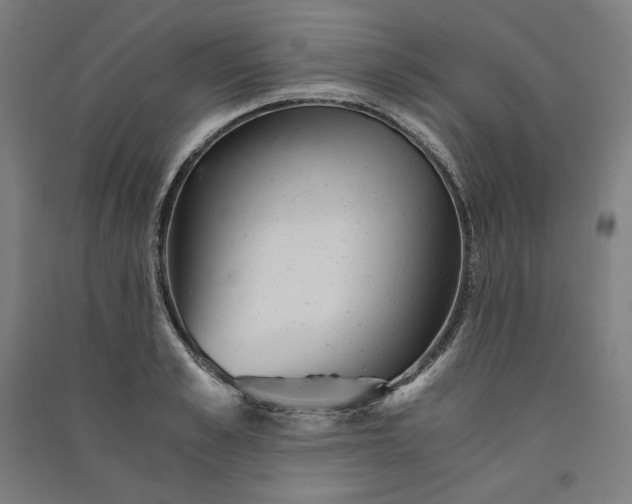 X0000091100989200708201516