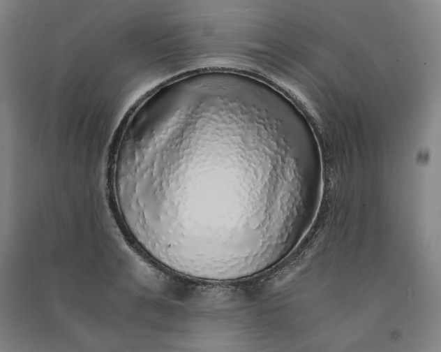 X0000091100991200708201516