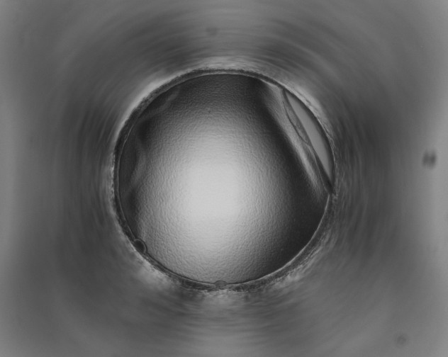 X0000091100992200708201516