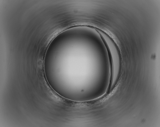 X0000091100993200708201516