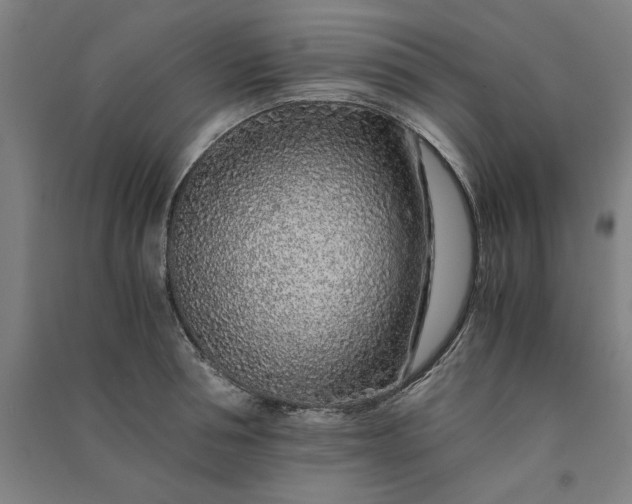 X0000091100994200708201516