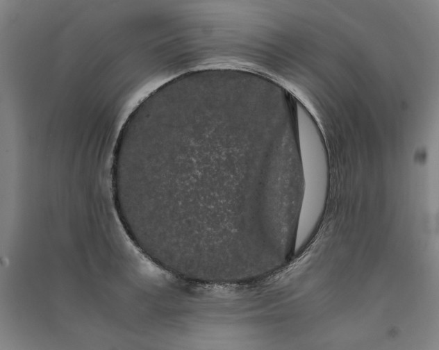 X0000091100995200708201516