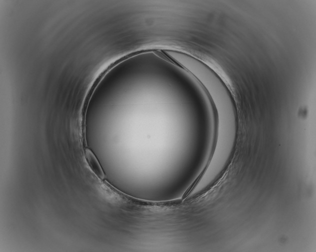 X0000091100996200708201516