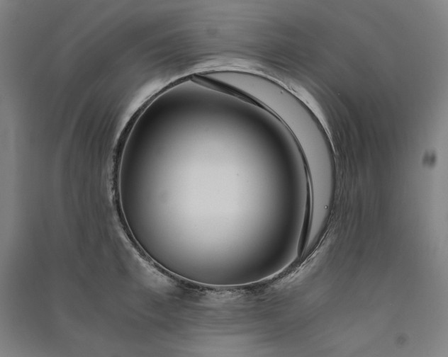 X0000091100997200708201516