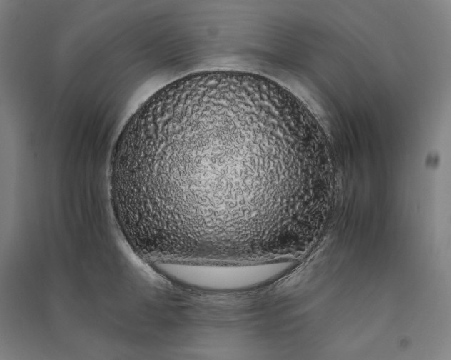 X0000091100998200708201516