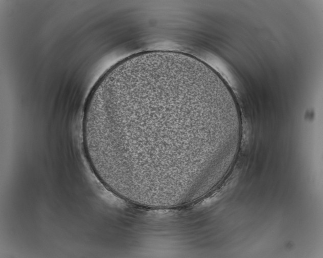 X0000091101000200708201516