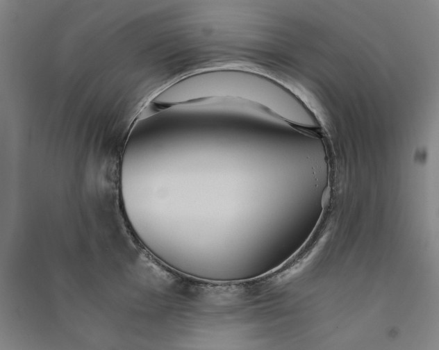 X0000091101001200708201516