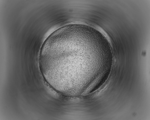 X0000091101002200708201516