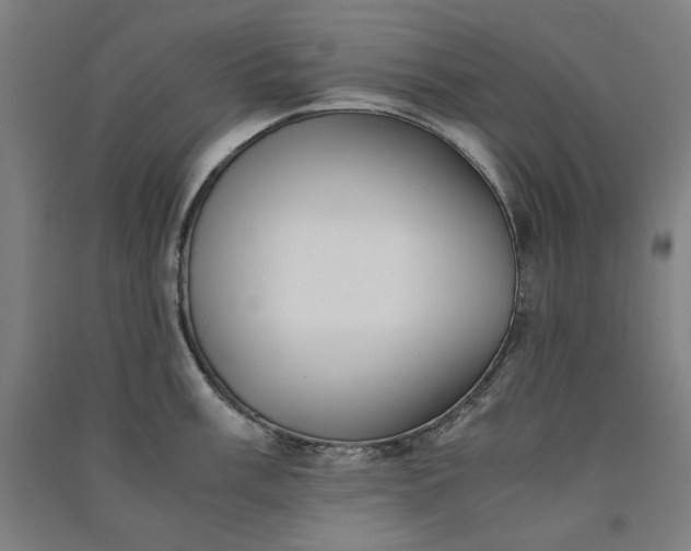 X0000091101003200708201516