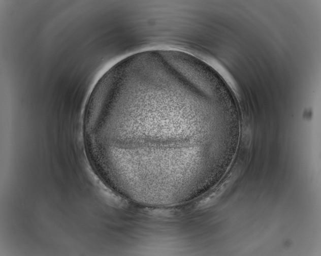 X0000091101004200708201516