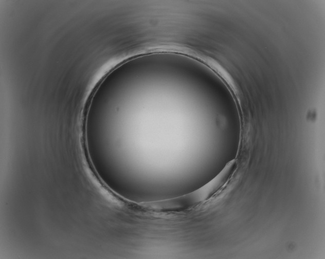 X0000091101005200708201516