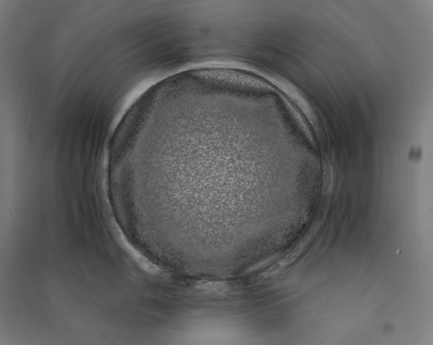 X0000091101006200708201516