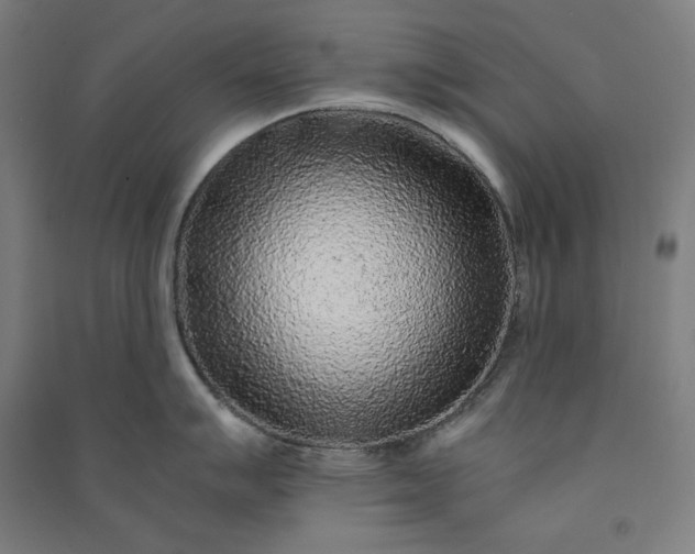 X0000091101007200708201516