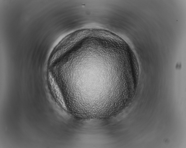 X0000091101008200708201516