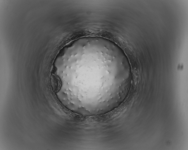 X0000091101009200708201515