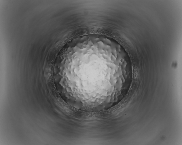 X0000091101011200708201515