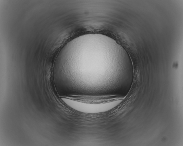 X0000091101012200708201515