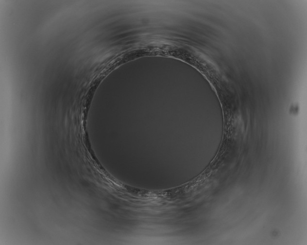 X0000091101013200708201515