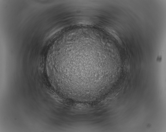 X0000091101015200708201515