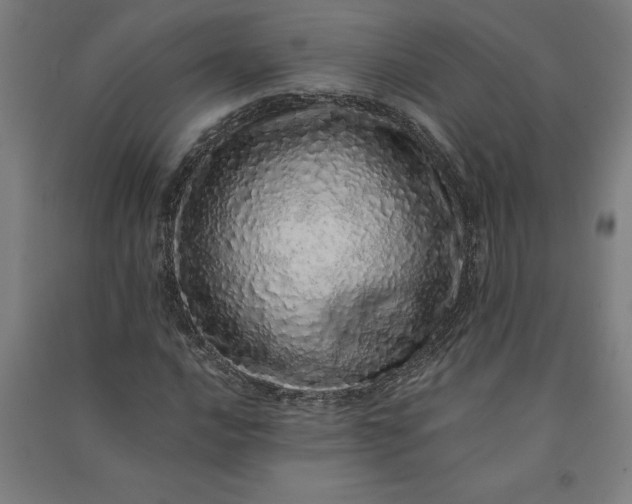 X0000091101016200708201515