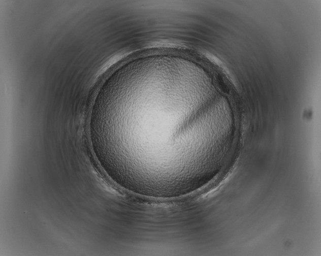 X0000091101017200708201515