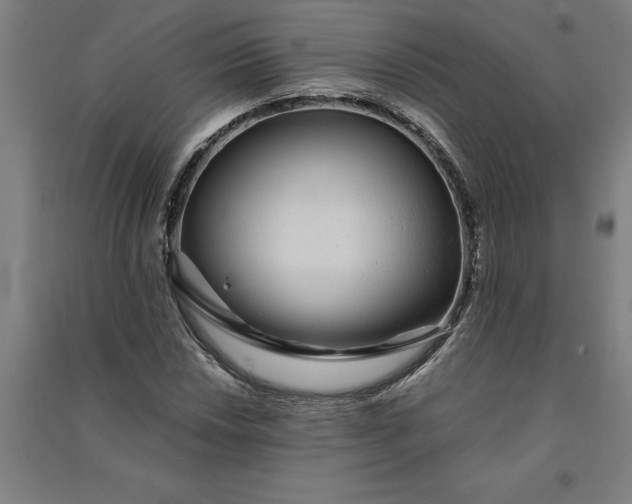 X0000091101018200708201515