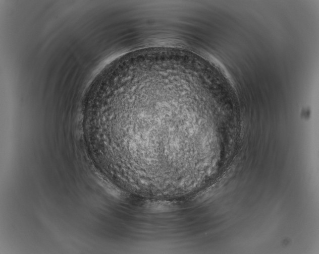 X0000091101019200708201515