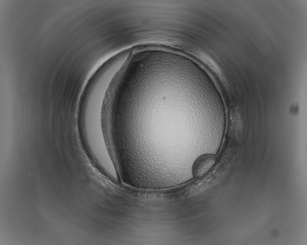 X0000091101020200708201515