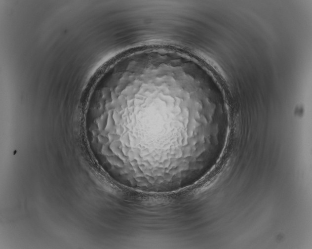 X0000091101021200708201515