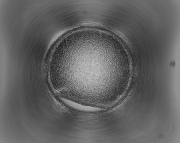 X0000091101022200708201515