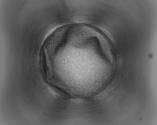 X0000091101023200708201515