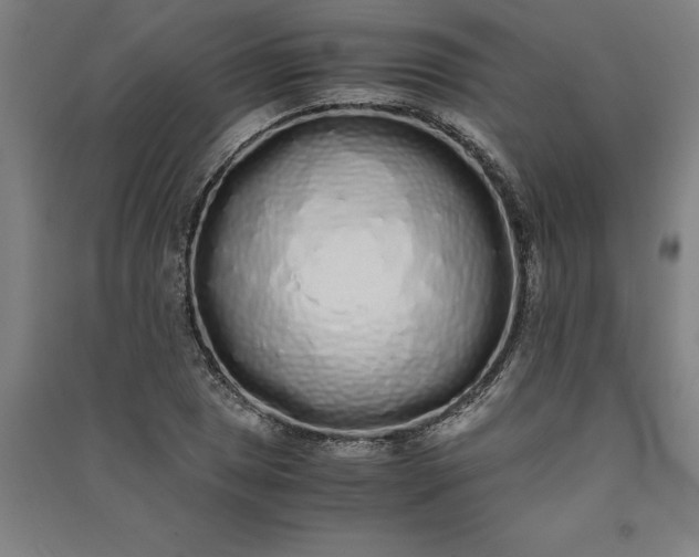 X0000091101025200708201515