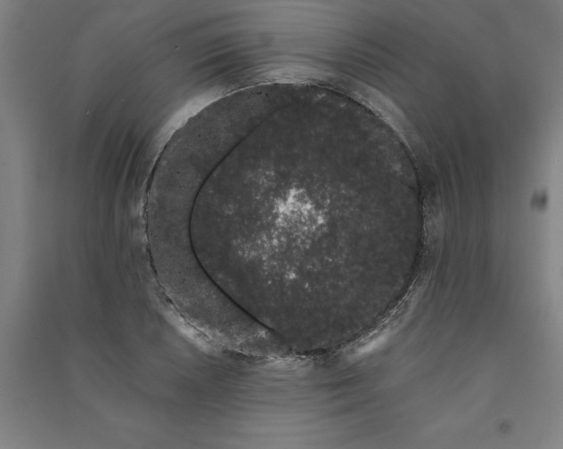 X0000091101026200708201515