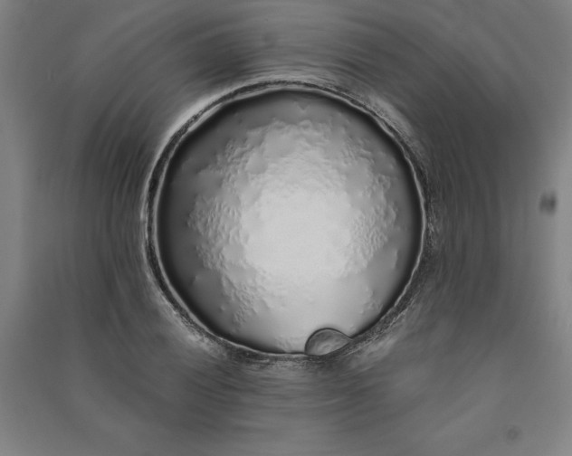 X0000091101028200708201515