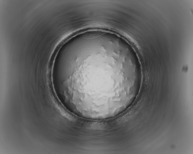 X0000091101029200708201515