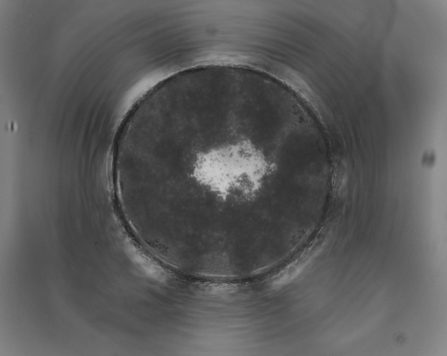 X0000091101030200708201515