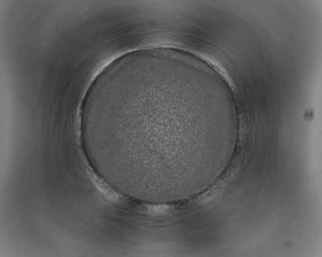 X0000091101031200708201515