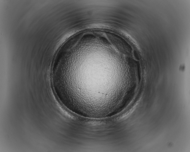 X0000091101033200708201515