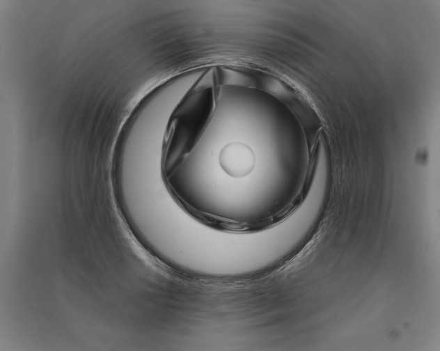 X0000091101034200708201515