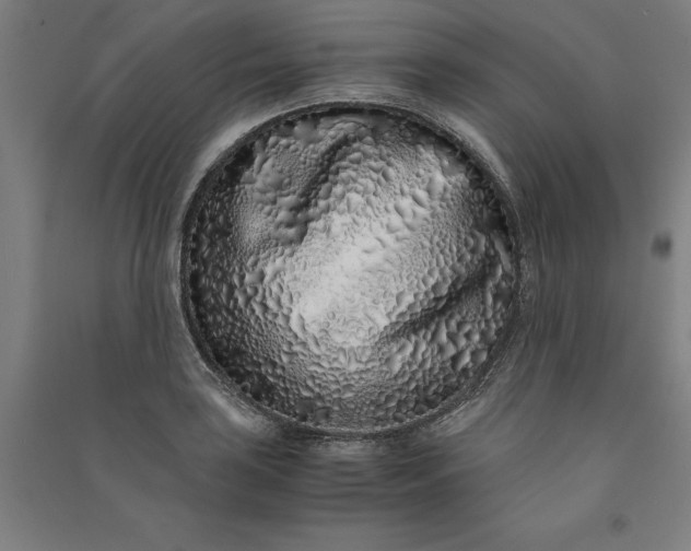 X0000091101035200708201515