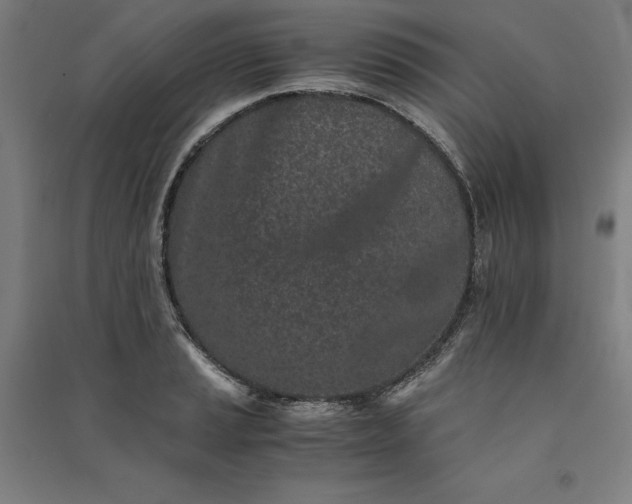 X0000091101037200708201515