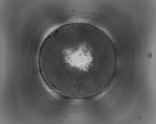 X0000091101038200708201515